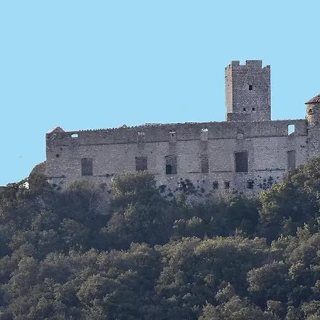 Anduze Les Bambous Au 