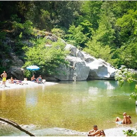 Anduze Les Bambous Au 