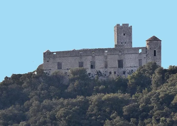 Anduze Les Bambous Au 