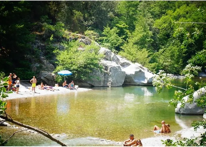 Anduze Les Bambous Au 